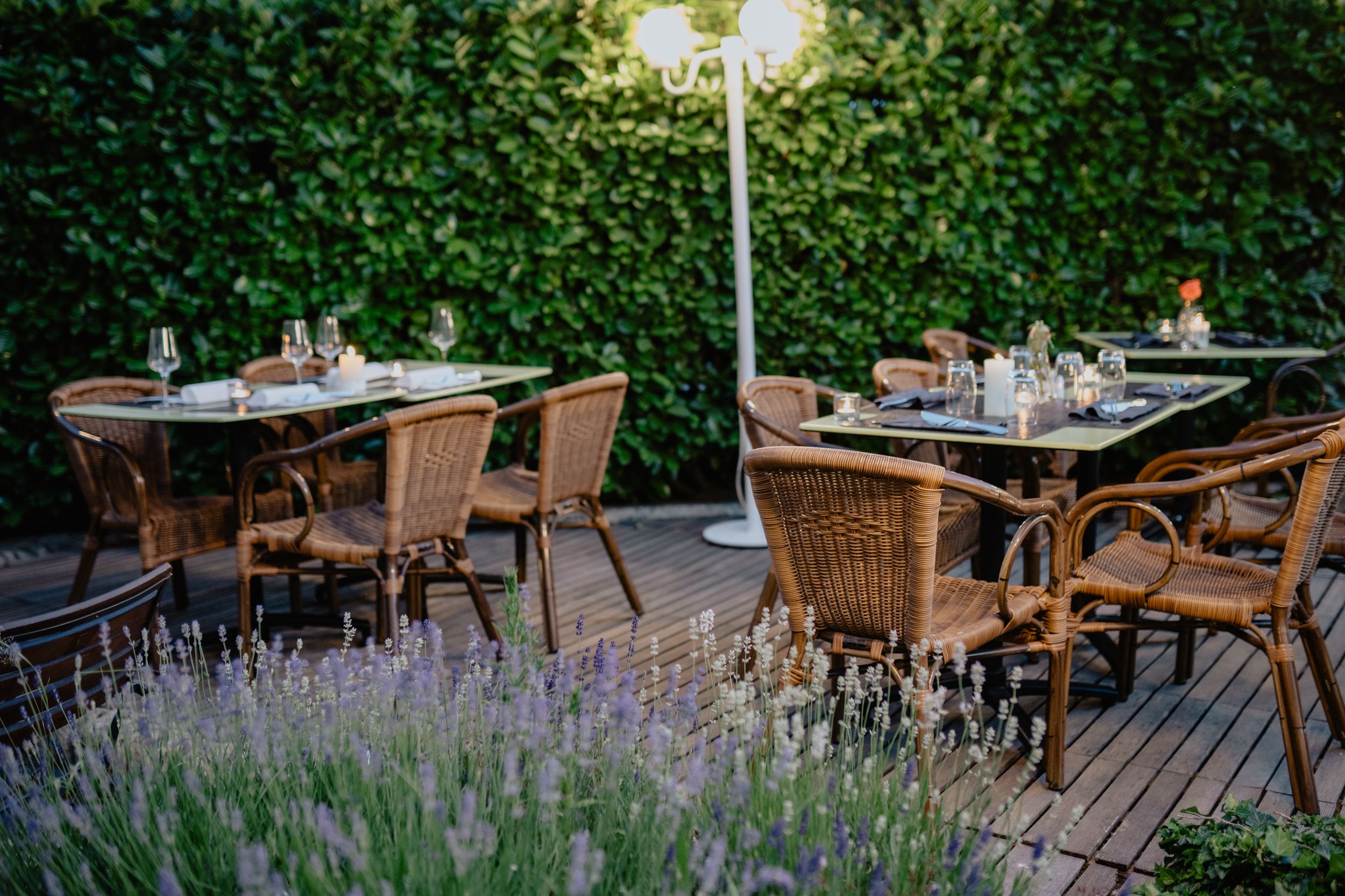Garden dining area